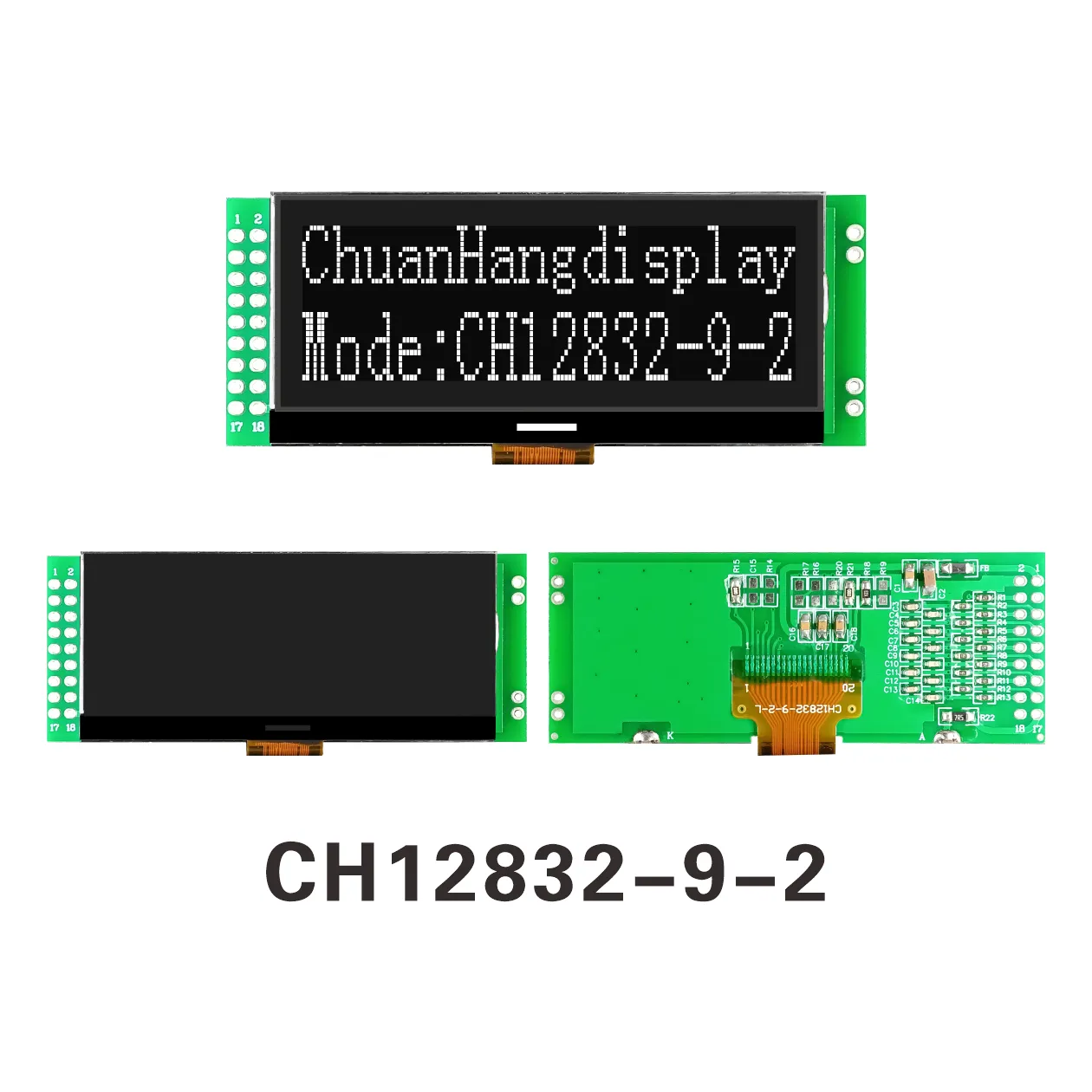 CH12832-9-2 Grafik-COG-LCD-Display-Modul (COG+PCB)